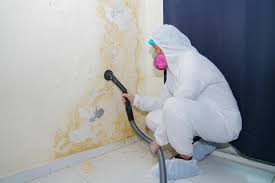  Harris Hill, NY Mold Removal & Remediation Pros